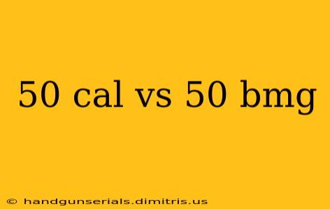 50 cal vs 50 bmg