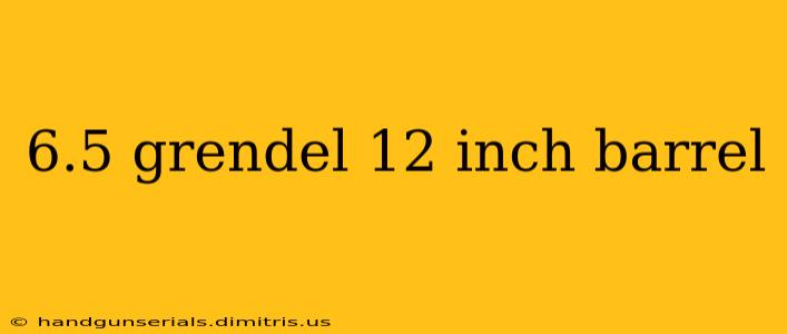 6.5 grendel 12 inch barrel