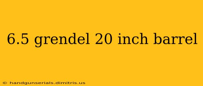 6.5 grendel 20 inch barrel