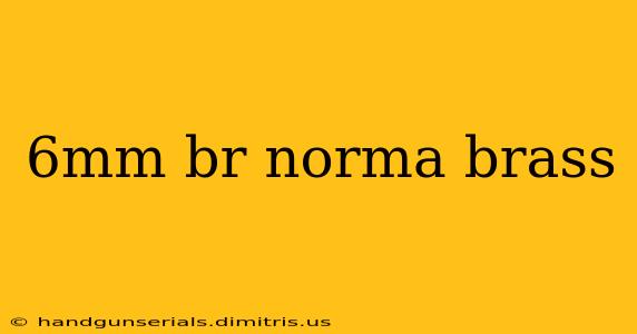 6mm br norma brass