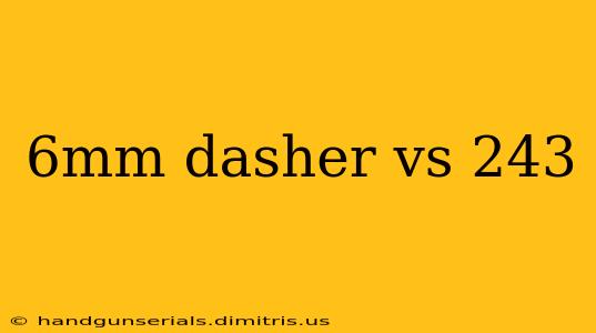 6mm dasher vs 243