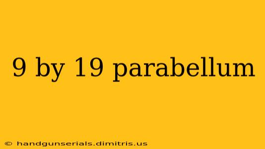 9 by 19 parabellum