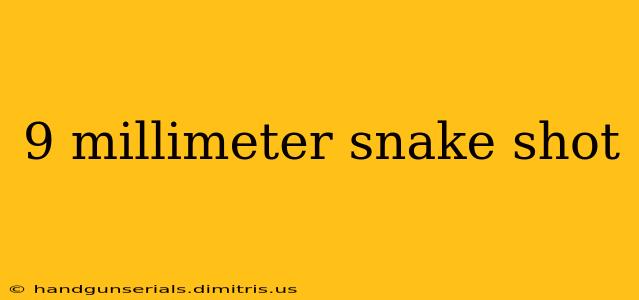 9 millimeter snake shot