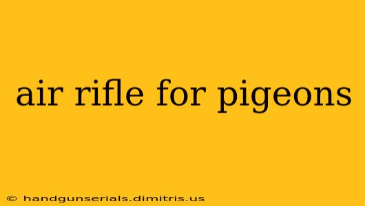 air rifle for pigeons