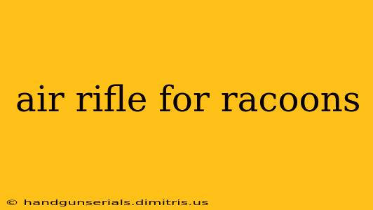 air rifle for racoons