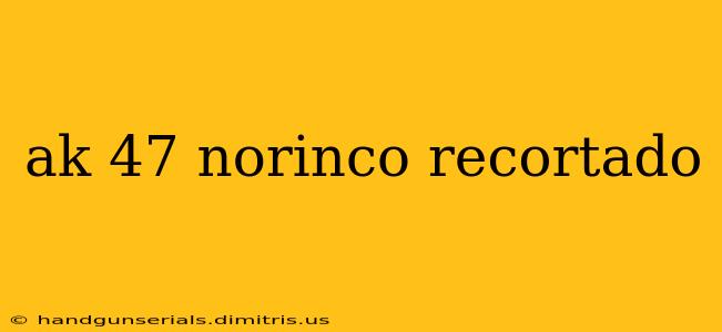 ak 47 norinco recortado