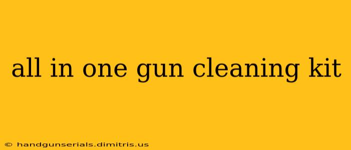 all in one gun cleaning kit