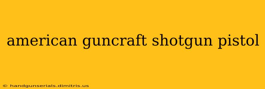 american guncraft shotgun pistol