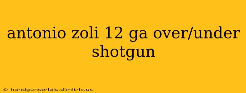 antonio zoli 12 ga over/under shotgun