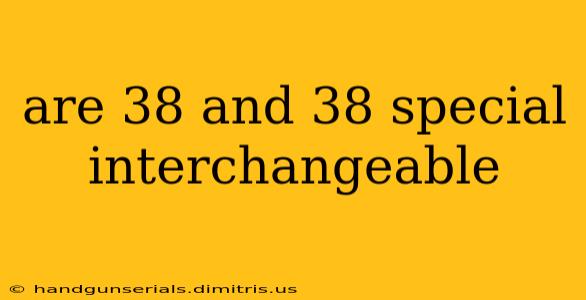 are 38 and 38 special interchangeable