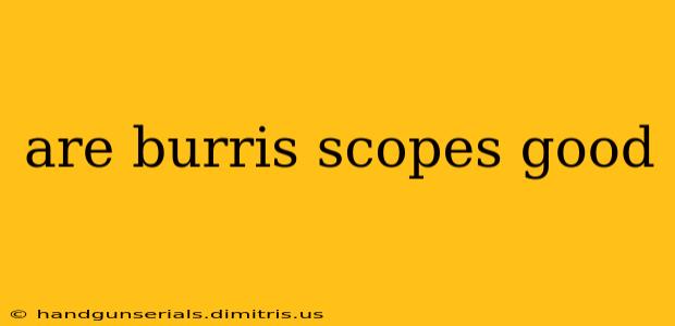 are burris scopes good