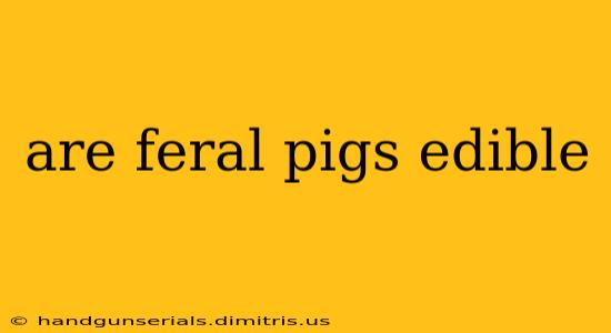 are feral pigs edible