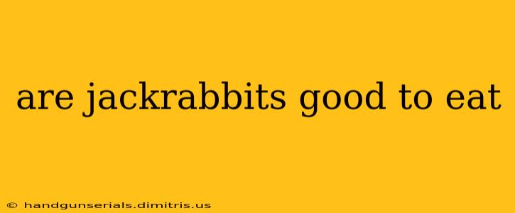 are jackrabbits good to eat