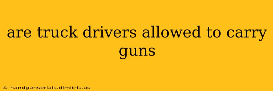 are truck drivers allowed to carry guns