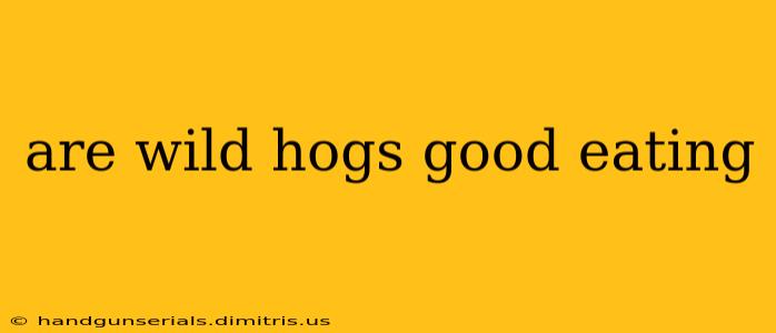 are wild hogs good eating