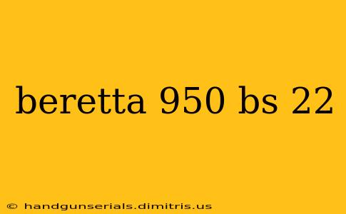 beretta 950 bs 22