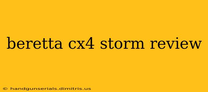 beretta cx4 storm review