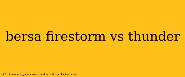 bersa firestorm vs thunder