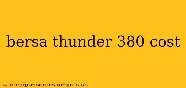 bersa thunder 380 cost