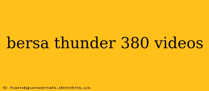 bersa thunder 380 videos