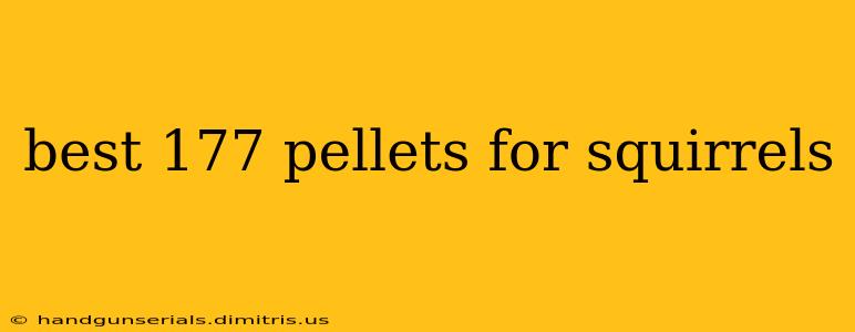 best 177 pellets for squirrels