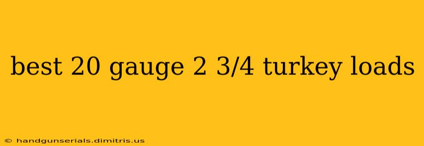 best 20 gauge 2 3/4 turkey loads