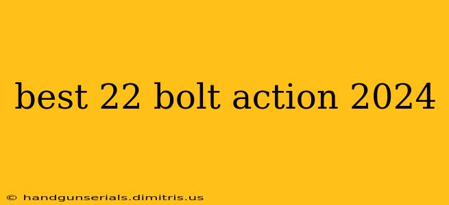 best 22 bolt action 2024