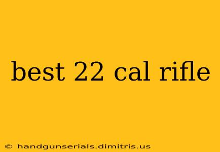 best 22 cal rifle