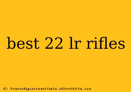 best 22 lr rifles