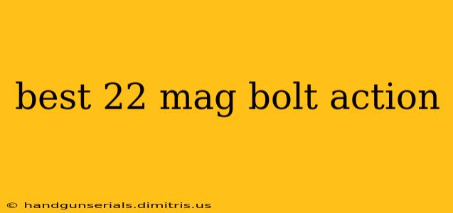 best 22 mag bolt action