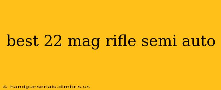 best 22 mag rifle semi auto