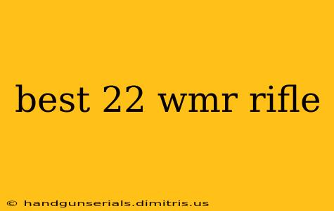 best 22 wmr rifle