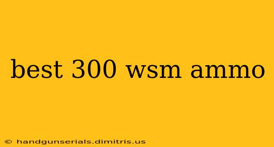 best 300 wsm ammo