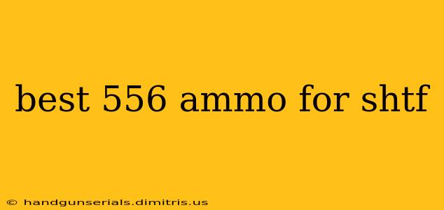 best 556 ammo for shtf