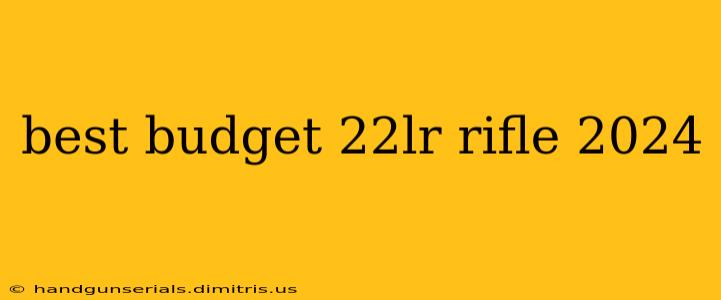 best budget 22lr rifle 2024