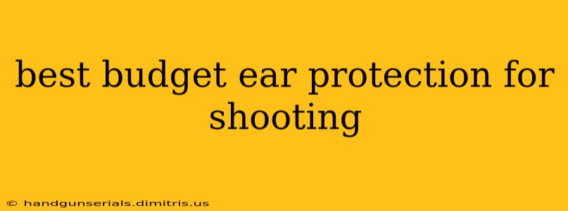 best budget ear protection for shooting