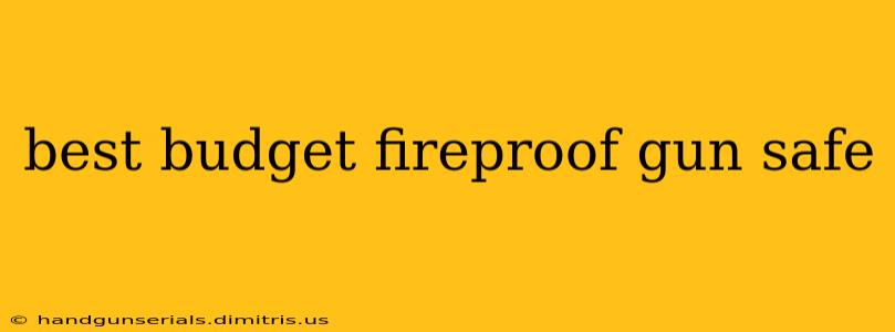 best budget fireproof gun safe