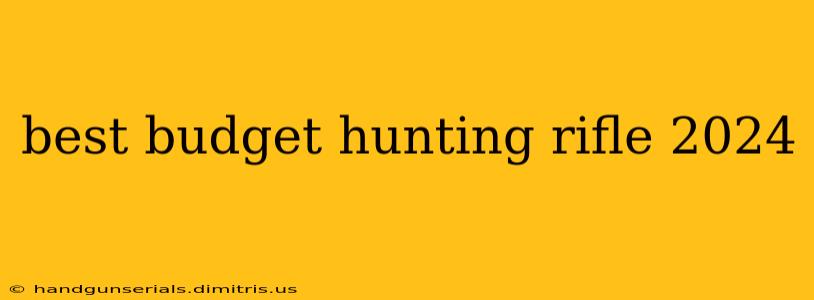 best budget hunting rifle 2024