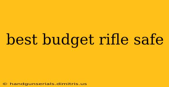 best budget rifle safe