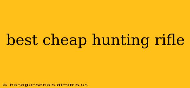 best cheap hunting rifle