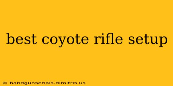 best coyote rifle setup