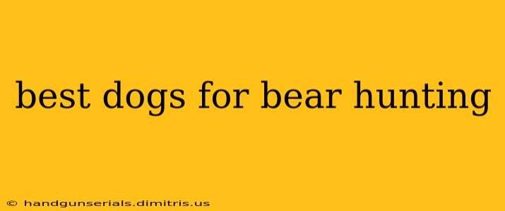 best dogs for bear hunting