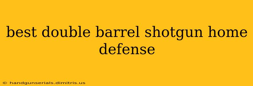 best double barrel shotgun home defense