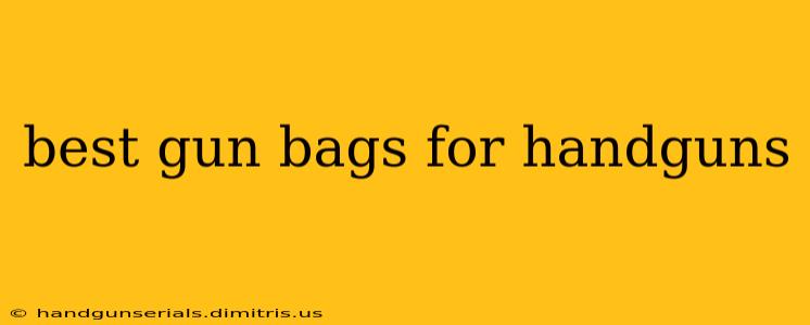 best gun bags for handguns