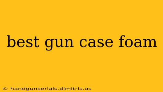 best gun case foam