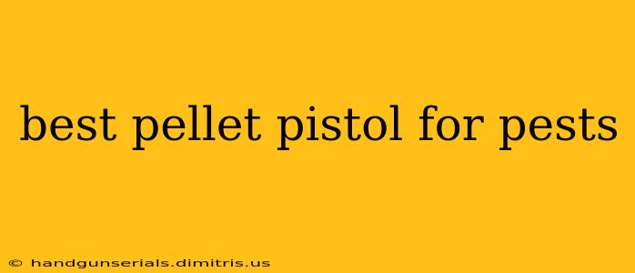 best pellet pistol for pests