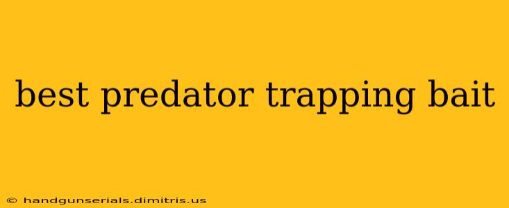 best predator trapping bait