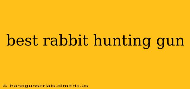 best rabbit hunting gun