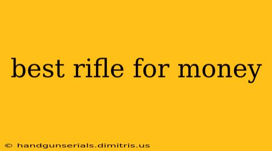 best rifle for money