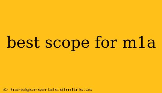 best scope for m1a